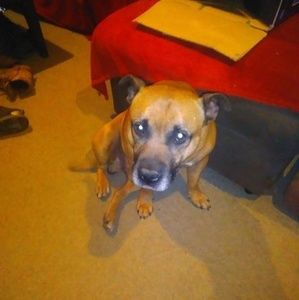 Meet your Posher, Anthony